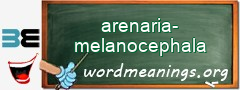 WordMeaning blackboard for arenaria-melanocephala